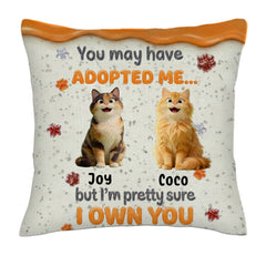 Personalized Pet Pillow with Names - "I Own You" Funny Custom Cat Cushion Gift